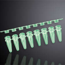 Tira de Tubos de PCR