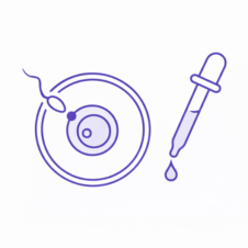 Fecundación in vitro