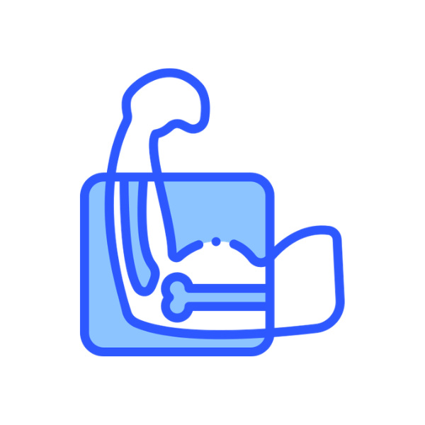 Rehabilitación y fisioterapia