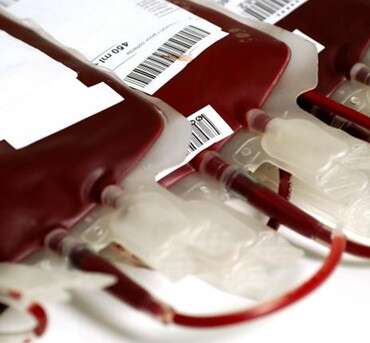 Bolsas para la recolección de sangre