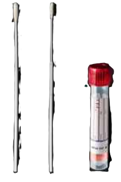 Consumibles para Microbiología y Bacteriología Clínica - Imagen 5