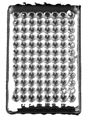 Consumibles para Microbiología y Bacteriología Clínica - Imagen 8